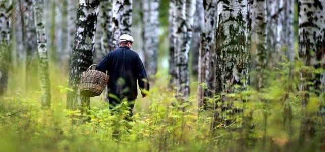 vosnews.ru сайтран илнӗ сӑн