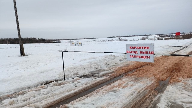 Телеграмри "Провинцивиль" сайтри сӑн