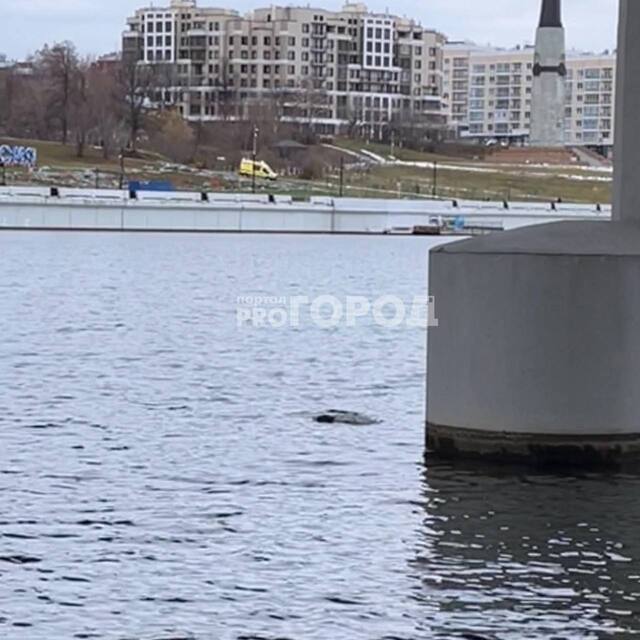 "Про Город" сайтӗнчи сӑн