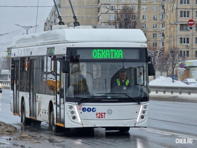 «Чеб.ру» сайтри сӑн